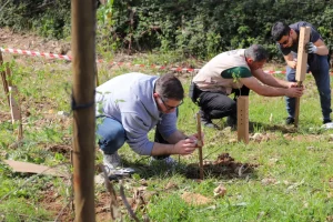 Controlar Portugal - Arbor Day 2024