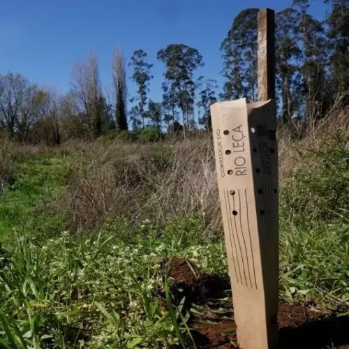 Controlar planta uma árvore por cada máquina instalada