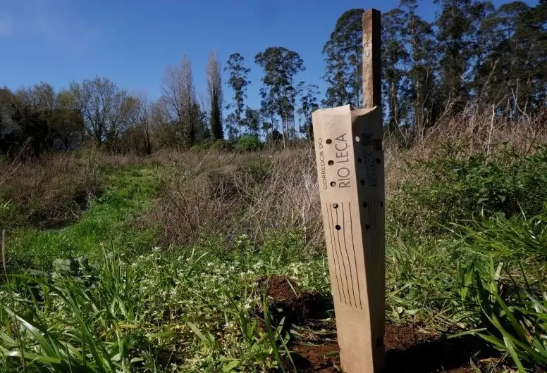 Controlar planta uma árvore por cada máquina instalada
